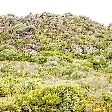 Calvia Gasthof Alghero